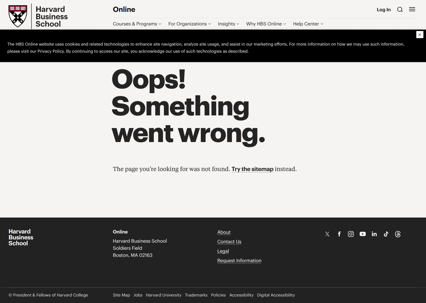 Website preview for Competing in the Age of AI