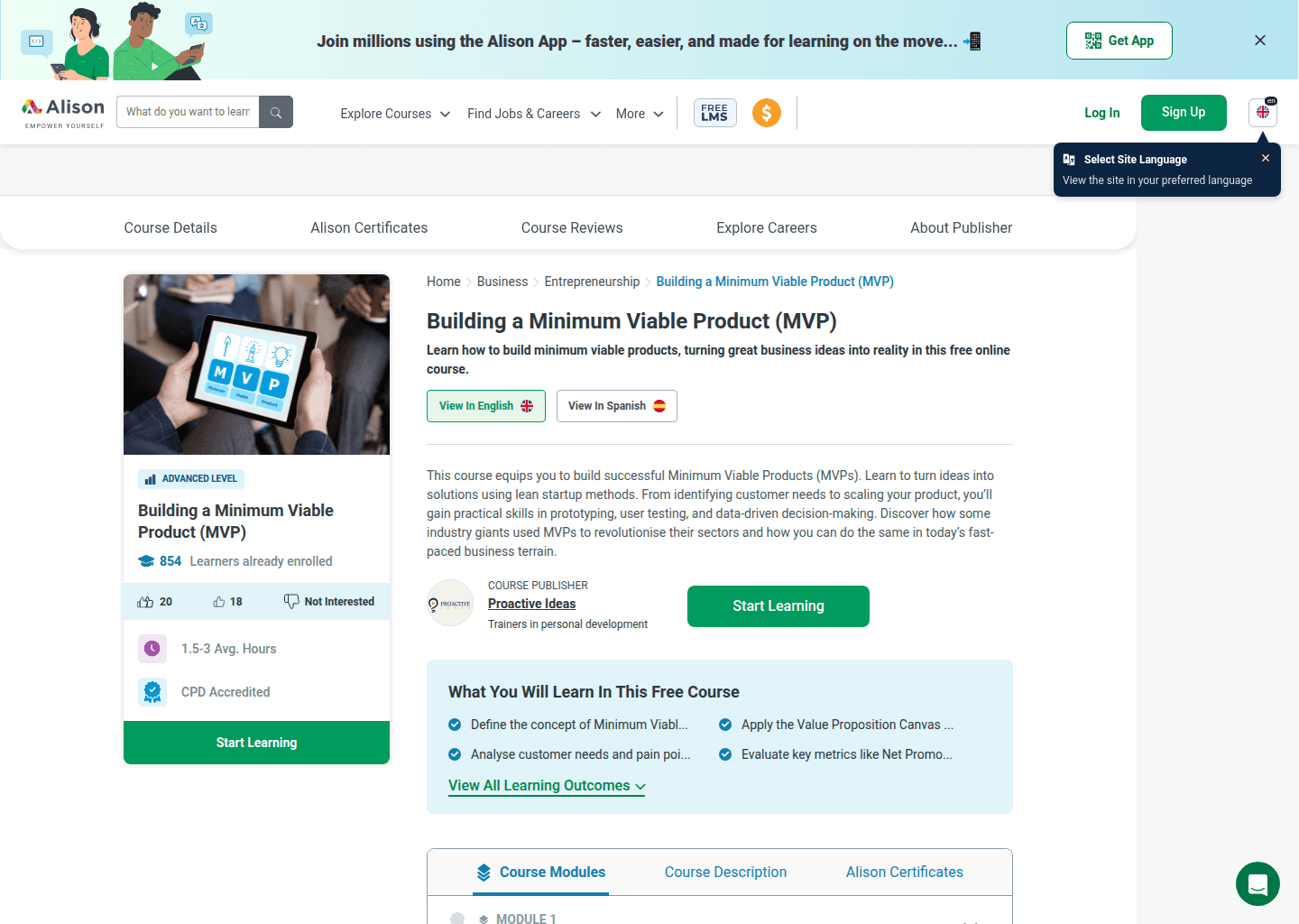Website preview for Building a Minimum Viable Product (MVP) (Alison)