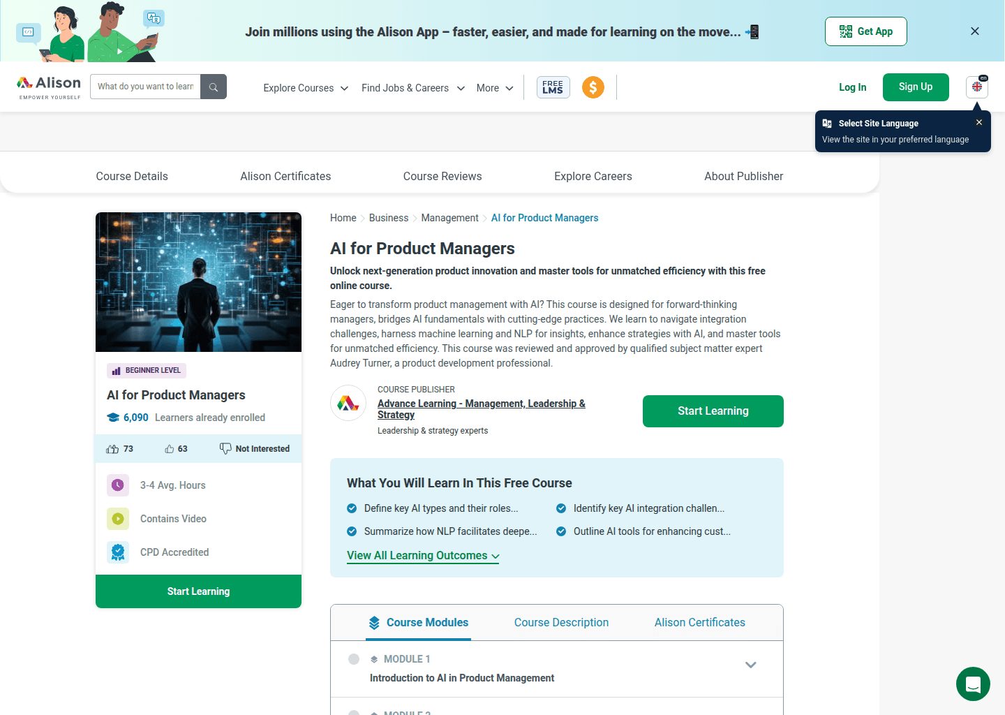 Website preview for AI for Product Managers (Alison)