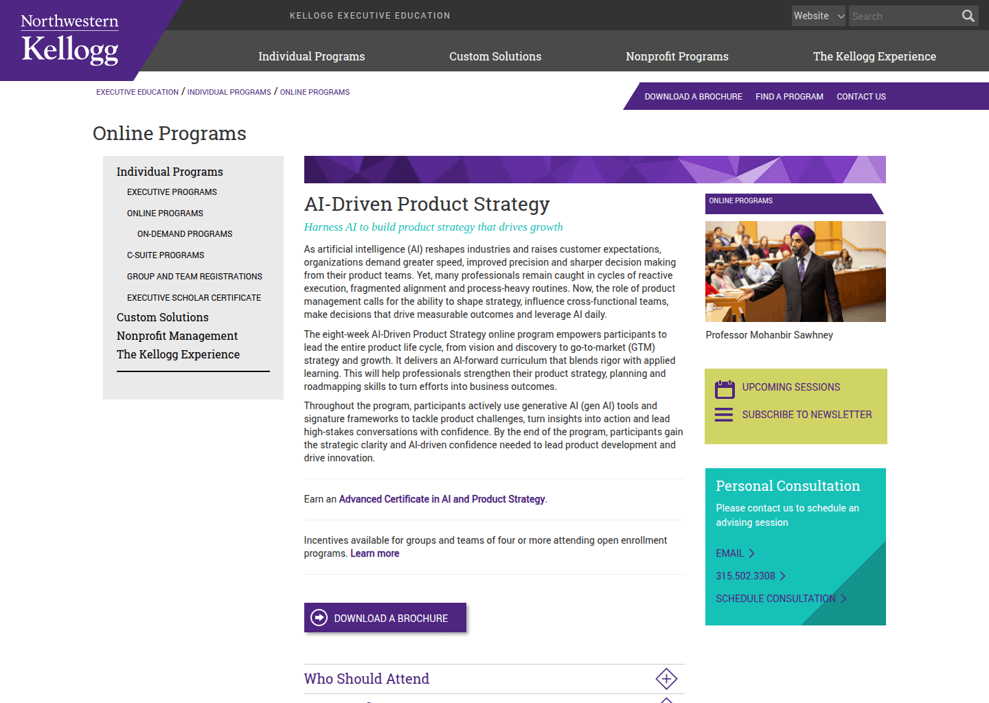 Website preview for Product Strategy and Management Online Program