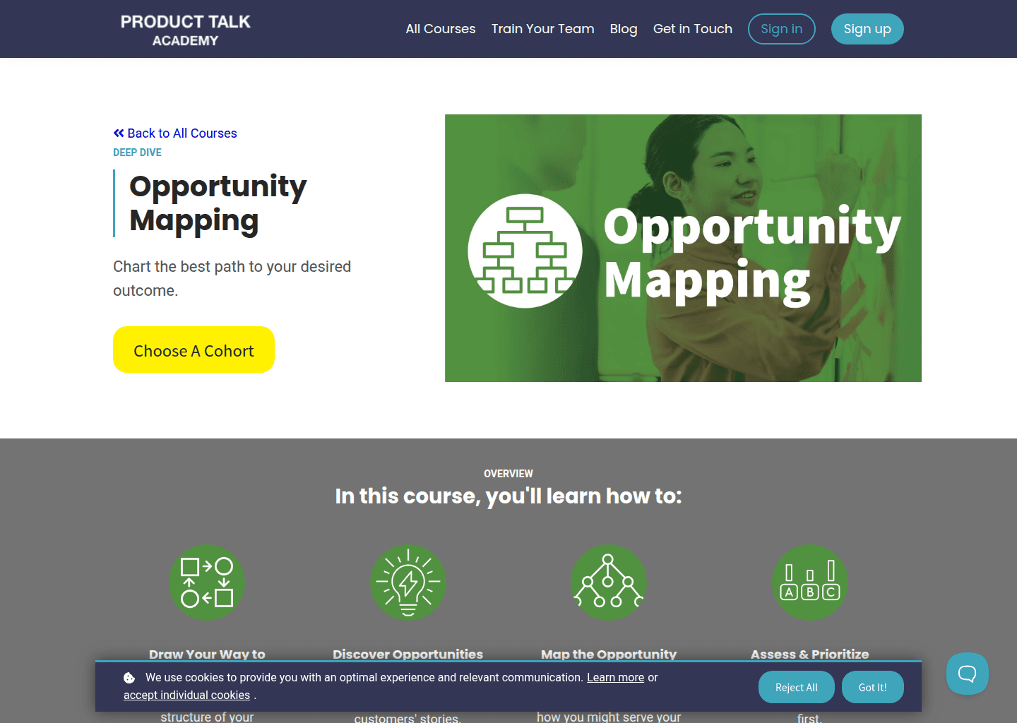 Website preview for Opportunity Mapping