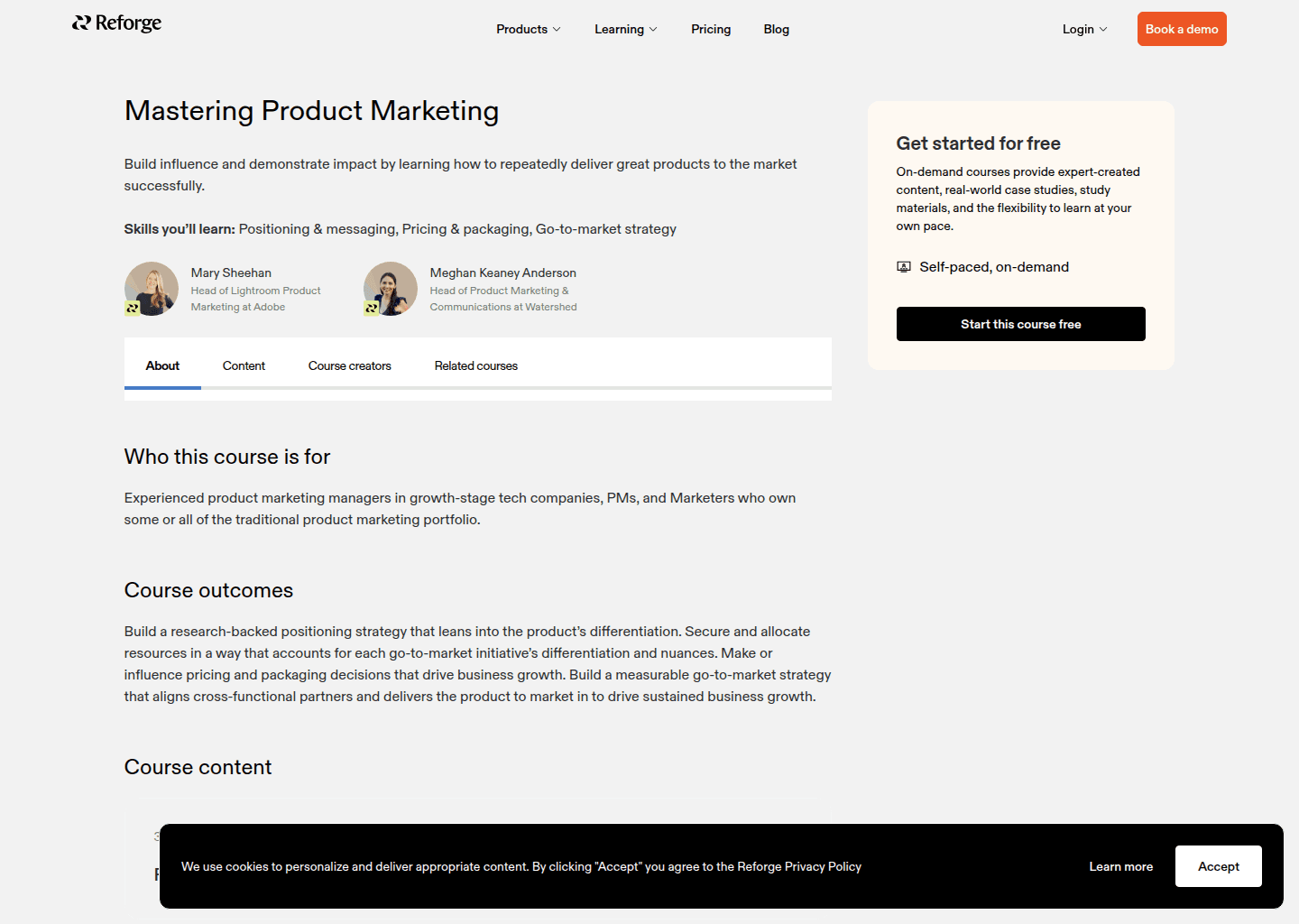 Website preview for Product Marketing Program