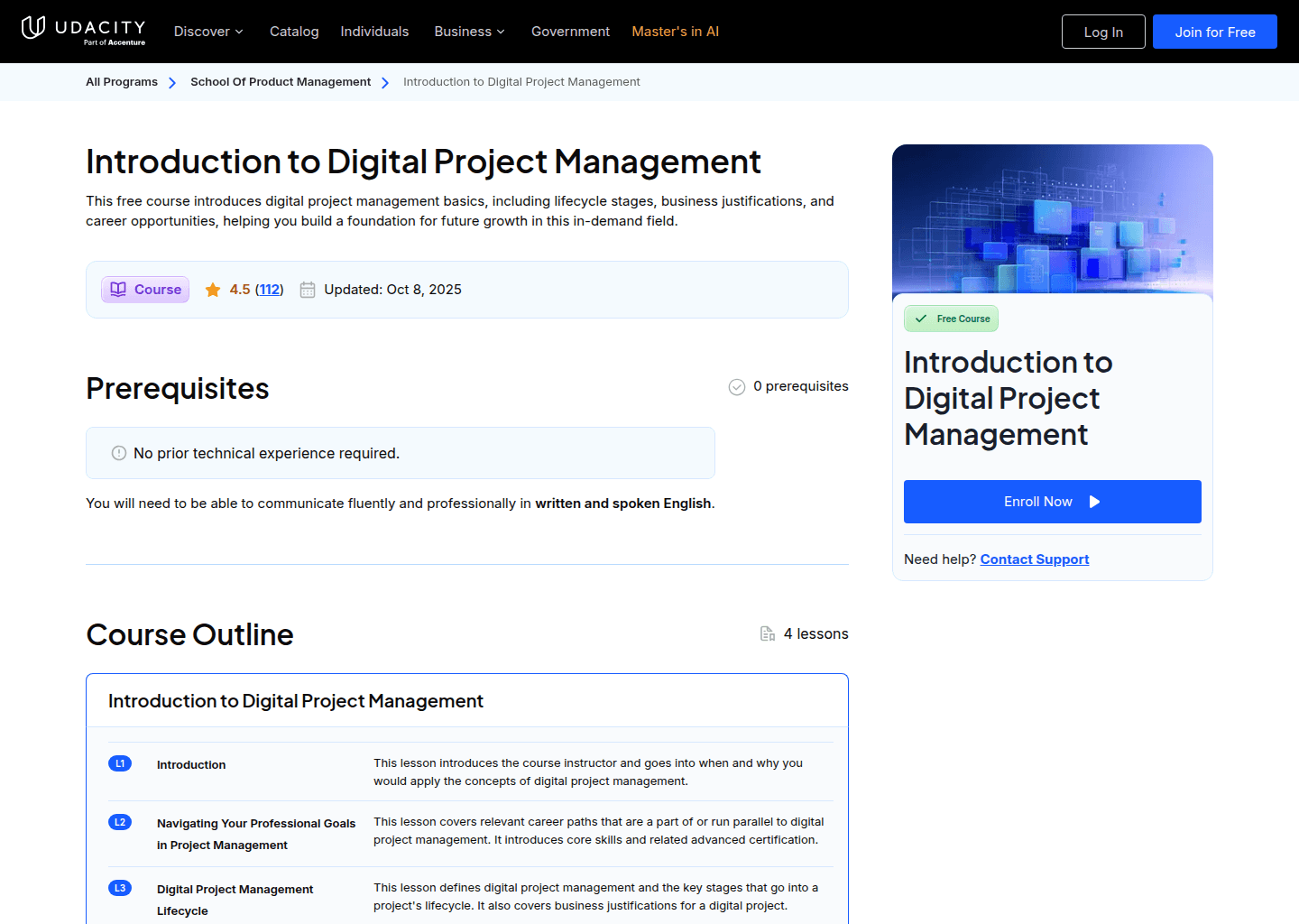 Website preview for Digital Project Management